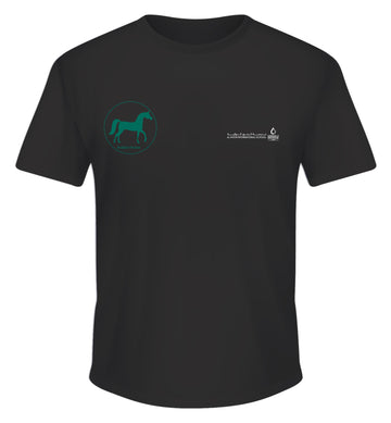 Secondary School Short Sleeve House t-Shirts (Black T-Shirt with coloured logo)