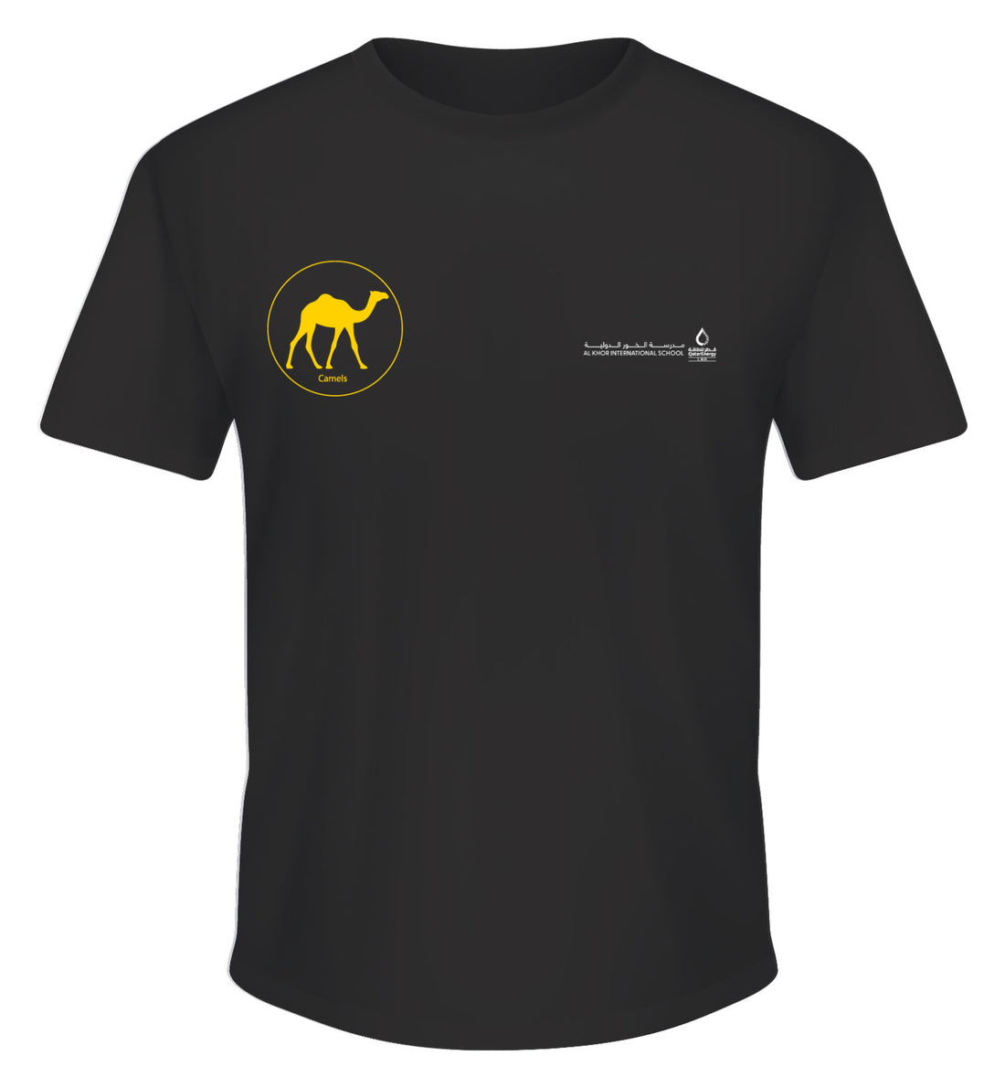 Secondary School Short Sleeve House t-Shirts (Black T-Shirt with coloured logo)