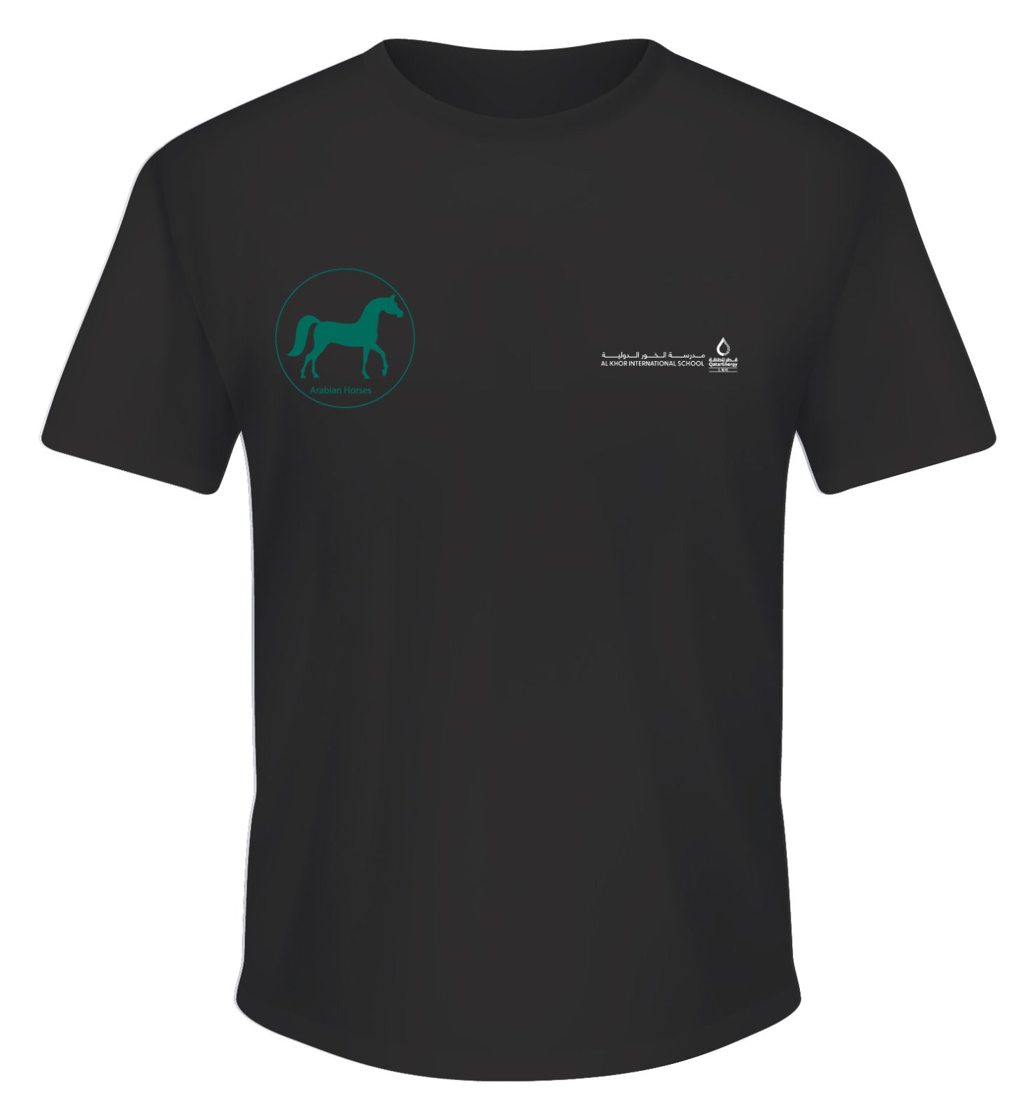 Secondary School Short Sleeve House t-Shirts (Black T-Shirt with coloured logo)