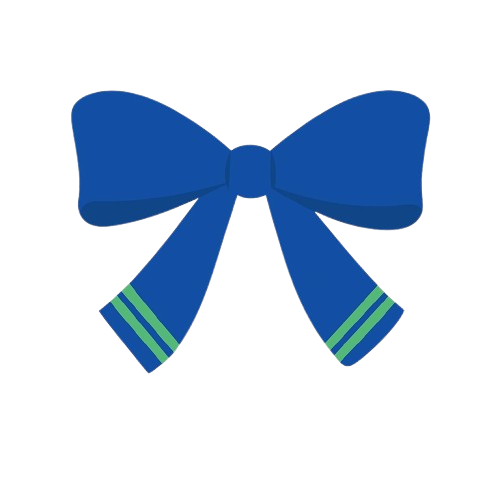 Secondary School Girls Bow Tie