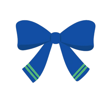 Secondary School Girls Bow Tie